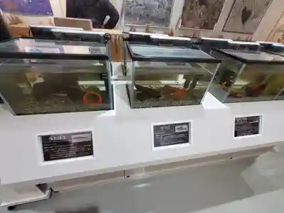 東光院(栃木県)