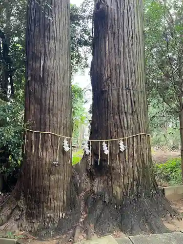 日吉神社(千葉県)