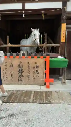 賀茂別雷神社（上賀茂神社）(京都府)