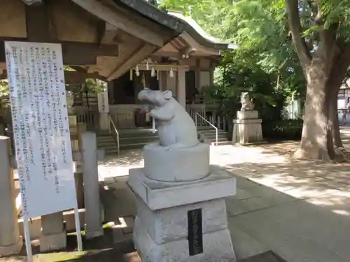 戸部杉山神社の狛犬