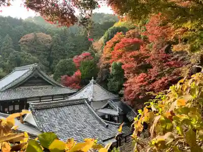 柳谷観音　楊谷寺(京都府)