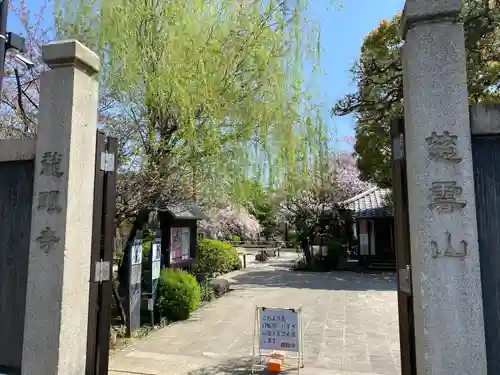 龍眼寺（萩寺）の山門