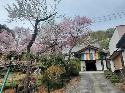 音楽寺(埼玉県)