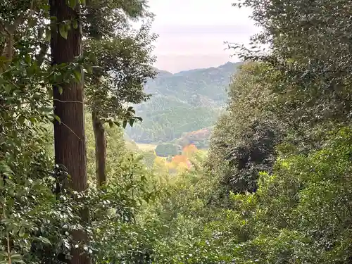 白山比咩神社の景色