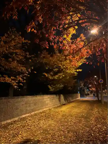 新琴似神社(北海道)