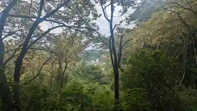 若宮八幡社(東京都)