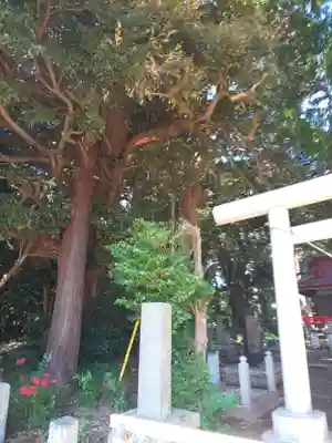 小林鳥見神社のその他建物