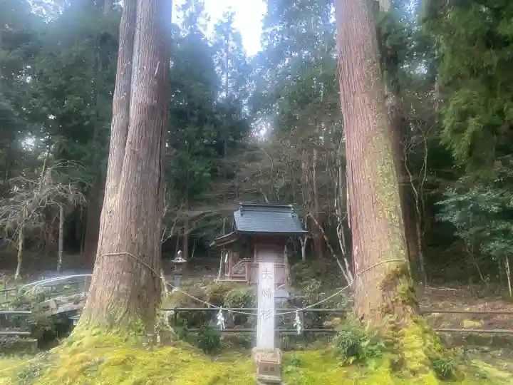 粟鹿神社の{uncategorized: "未分類", other: "その他", undefined: "問題あり", building: "その他建物", grave: "お墓", sacred_gate: "鳥居", guardian: "狛犬", statue: "像", buddha: "仏像", history: "歴史", nature: "自然", garden: "庭園", animal: "動物", pagoda: "塔", temizu: "手水舎", mountain_gate: "山門・神門", sanctuary: "本殿・本堂", subordinate: "末社・摂社", art: "芸術", scenery: "景色", jizo: "地蔵", ema: "絵馬", goshuin: "御朱印", omikuji: "おみくじ", items: "授与品その他", amulet: "お守り", goshuincho: "御朱印帳", eats: "食事", festival: "お祭り", votive_dance: "神楽", shichigosan: "七五三参", wedding: "結婚式", experience: "体験その他", initially: "初詣", around: "周辺", anti_infection: "感染症対策"}