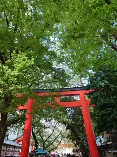 花園神社の鳥居