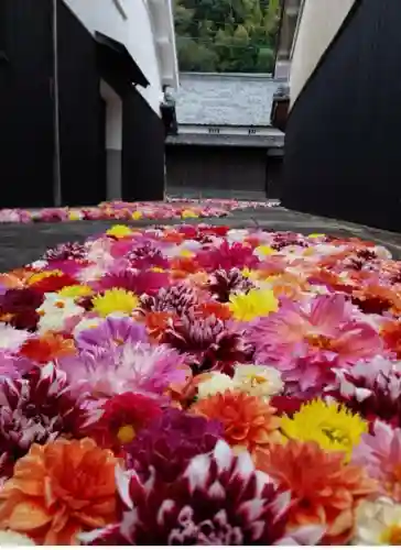 愛宕神社(千軒舎前)(奈良県)