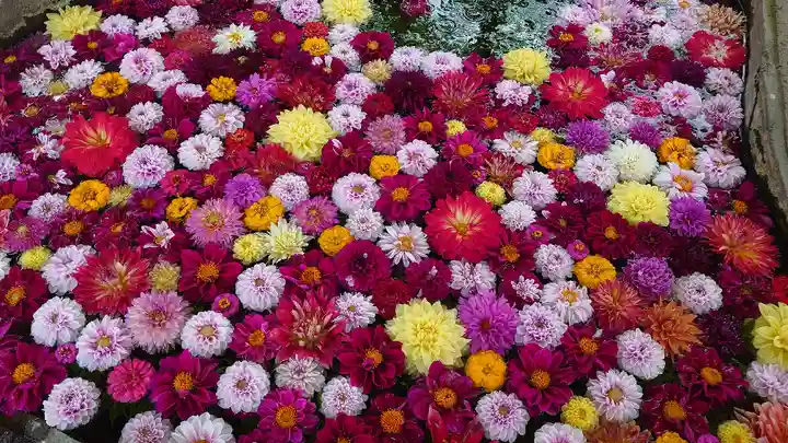 嵐山瀧神社の手水舎