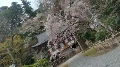 室生寺のその他建物