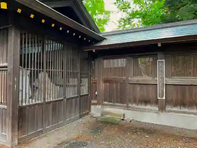 琴似神社(北海道)