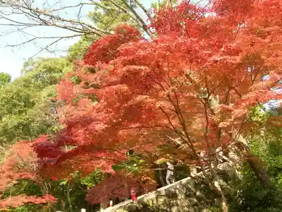神護寺(京都府)