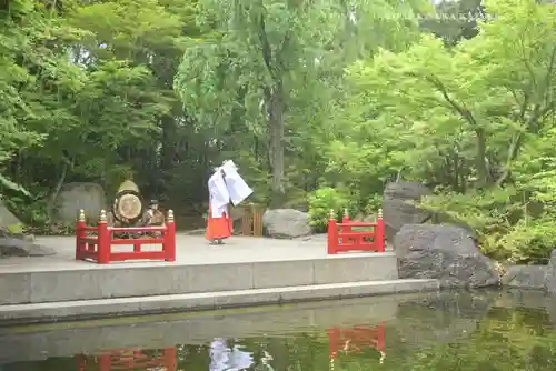 寒川神社(神奈川県)