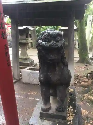 富岡八幡宮の狛犬