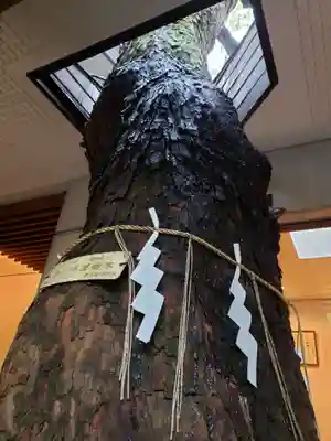 乃木神社(東京都)