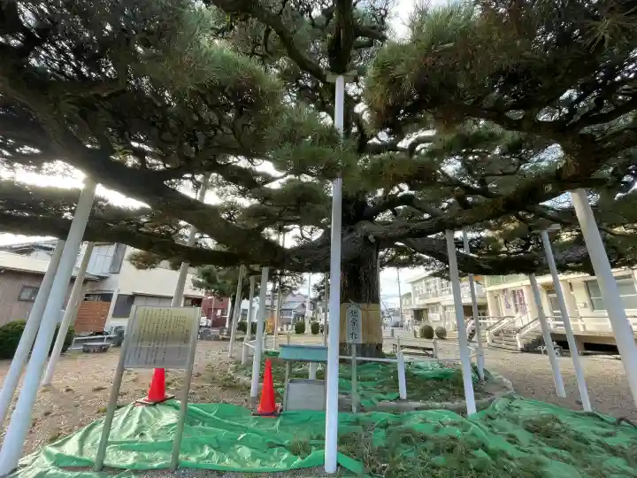 日保見山八幡宮の{uncategorized: "未分類", other: "その他", undefined: "問題あり", building: "その他建物", grave: "お墓", sacred_gate: "鳥居", guardian: "狛犬", statue: "像", buddha: "仏像", history: "歴史", nature: "自然", garden: "庭園", animal: "動物", pagoda: "塔", temizu: "手水舎", mountain_gate: "山門・神門", sanctuary: "本殿・本堂", subordinate: "末社・摂社", art: "芸術", scenery: "景色", jizo: "地蔵", ema: "絵馬", goshuin: "御朱印", omikuji: "おみくじ", items: "授与品その他", amulet: "お守り", goshuincho: "御朱印帳", eats: "食事", festival: "お祭り", votive_dance: "神楽", shichigosan: "七五三参", wedding: "結婚式", experience: "体験その他", initially: "初詣", around: "周辺", anti_infection: "感染症対策"}