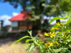 天照皇大神宮(長野県)