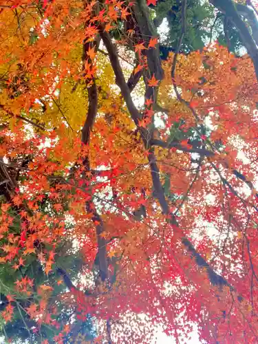 月橋院(京都府)