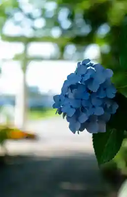 雄山神社前立社壇(富山県)