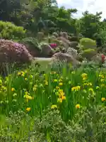 金蛇水神社の庭園
