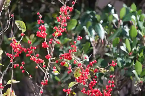大鏑神社の庭園