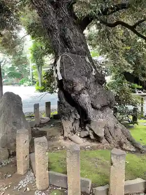 金王八幡宮(東京都)
