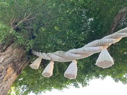 亀ケ池八幡宮のその他建物