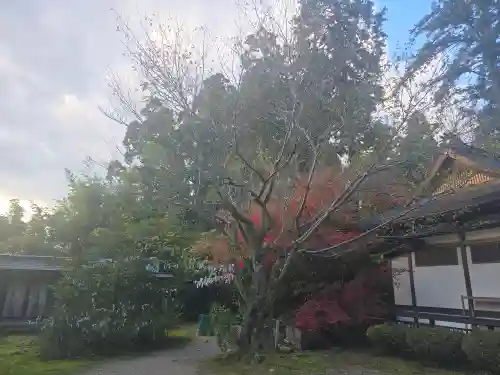出石神社(兵庫県)