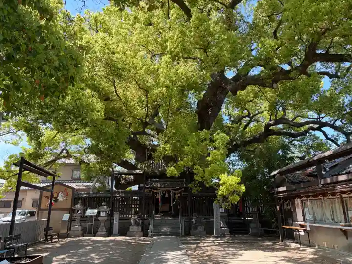 三島神社の{uncategorized: "未分類", other: "その他", undefined: "問題あり", building: "その他建物", grave: "お墓", sacred_gate: "鳥居", guardian: "狛犬", statue: "像", buddha: "仏像", history: "歴史", nature: "自然", garden: "庭園", animal: "動物", pagoda: "塔", temizu: "手水舎", mountain_gate: "山門・神門", sanctuary: "本殿・本堂", subordinate: "末社・摂社", art: "芸術", scenery: "景色", jizo: "地蔵", ema: "絵馬", goshuin: "御朱印", omikuji: "おみくじ", items: "授与品その他", amulet: "お守り", goshuincho: "御朱印帳", eats: "食事", festival: "お祭り", votive_dance: "神楽", shichigosan: "七五三参", wedding: "結婚式", experience: "体験その他", initially: "初詣", around: "周辺", anti_infection: "感染症対策"}