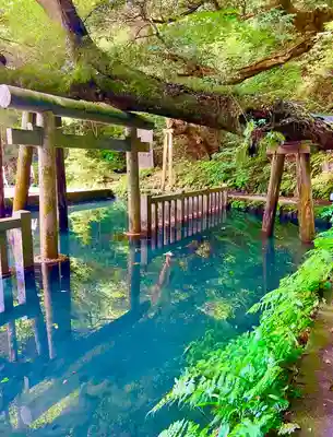 鹿島神宮(茨城県)