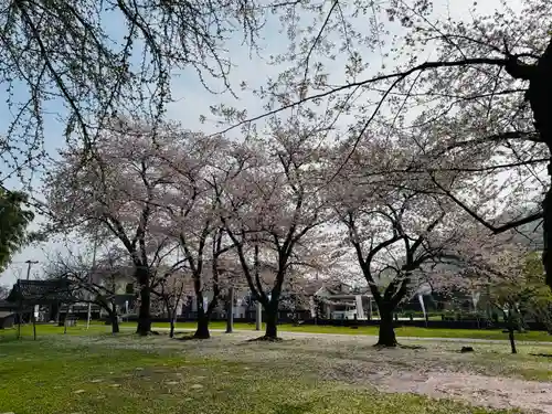 守りの神　藤基神社の自然