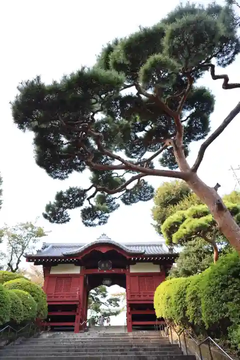 護国寺(東京都)