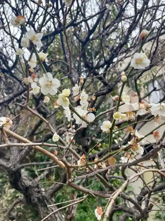 常泉寺の{uncategorized: "未分類", other: "その他", undefined: "問題あり", building: "その他建物", grave: "お墓", sacred_gate: "鳥居", guardian: "狛犬", statue: "像", buddha: "仏像", history: "歴史", nature: "自然", garden: "庭園", animal: "動物", pagoda: "塔", temizu: "手水舎", mountain_gate: "山門・神門", sanctuary: "本殿・本堂", subordinate: "末社・摂社", art: "芸術", scenery: "景色", jizo: "地蔵", ema: "絵馬", goshuin: "御朱印", omikuji: "おみくじ", items: "授与品その他", amulet: "お守り", goshuincho: "御朱印帳", eats: "食事", festival: "お祭り", votive_dance: "神楽", shichigosan: "七五三参", wedding: "結婚式", experience: "体験その他", initially: "初詣", around: "周辺", anti_infection: "感染症対策"}