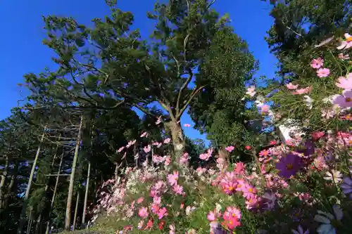 阿久津「田村神社」（郡山市阿久津町）旧社名：伊豆箱根三嶋三社の景色