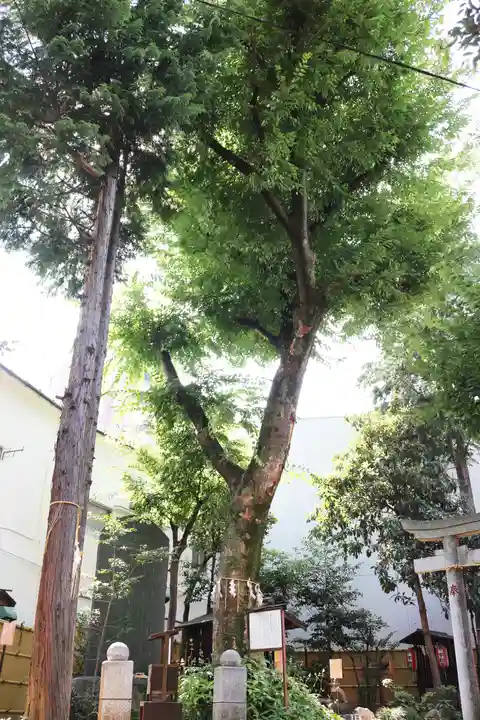 くまくま神社(導きの社 熊野町熊野神社)の自然