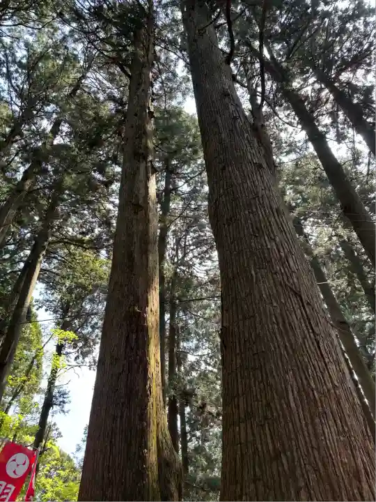 羽黒山神社(栃木県)