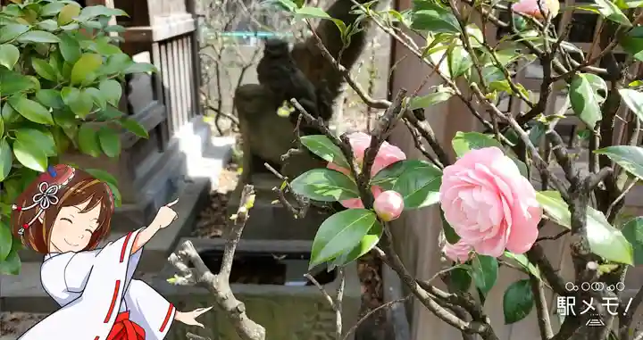 上平井天祖神社の自然