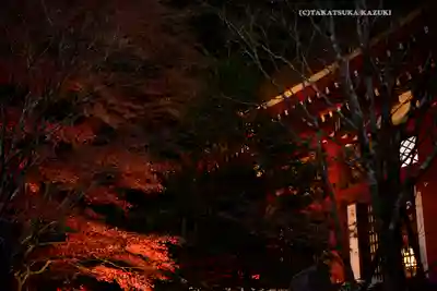 大山阿夫利神社(神奈川県)