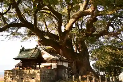 天満神社(愛媛県)