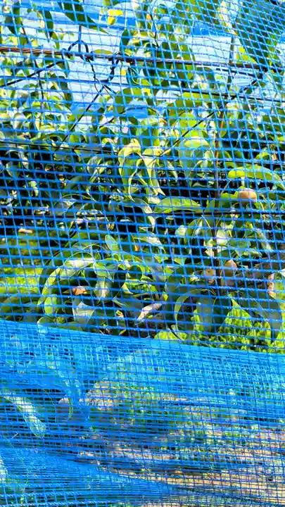 七百餘所神社 の周辺