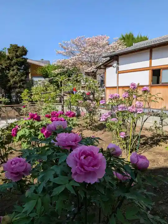 禅定院(東京都)