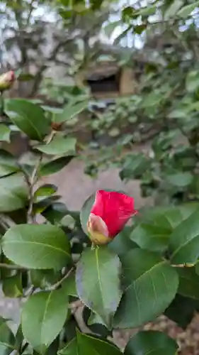 梅宮大社(京都府)