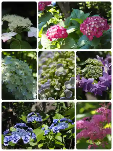 収玄寺(神奈川県)