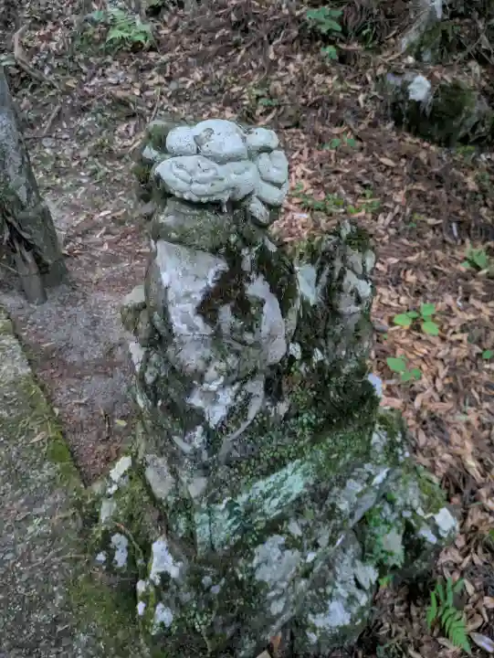 地主神社(桑の川の鳥居杉)(高知県)