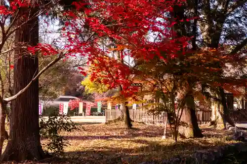 賀茂別雷神社（上賀茂神社）(京都府)