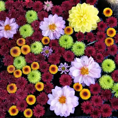 大鏑神社の手水舎