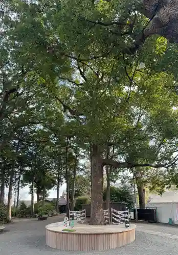 星川杉山神社の{uncategorized: "未分類", other: "その他", undefined: "問題あり", building: "その他建物", grave: "お墓", sacred_gate: "鳥居", guardian: "狛犬", statue: "像", buddha: "仏像", history: "歴史", nature: "自然", garden: "庭園", animal: "動物", pagoda: "塔", temizu: "手水舎", mountain_gate: "山門・神門", sanctuary: "本殿・本堂", subordinate: "末社・摂社", art: "芸術", scenery: "景色", jizo: "地蔵", ema: "絵馬", goshuin: "御朱印", omikuji: "おみくじ", items: "授与品その他", amulet: "お守り", goshuincho: "御朱印帳", eats: "食事", festival: "お祭り", votive_dance: "神楽", shichigosan: "七五三参", wedding: "結婚式", experience: "体験その他", initially: "初詣", around: "周辺", anti_infection: "感染症対策"}