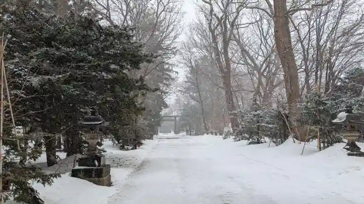 信濃神社の景色